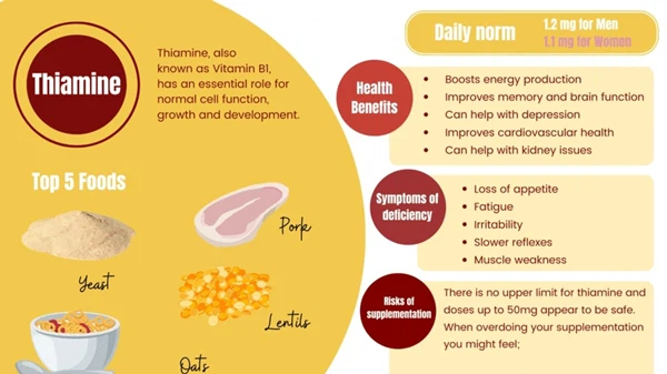 vitamin b1 benefits vitamin b1 benefits